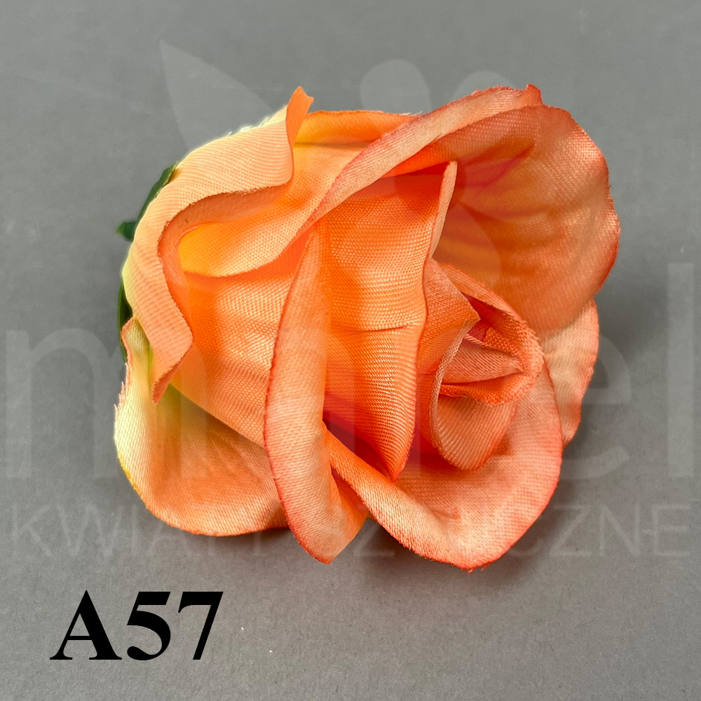 A57.jpg