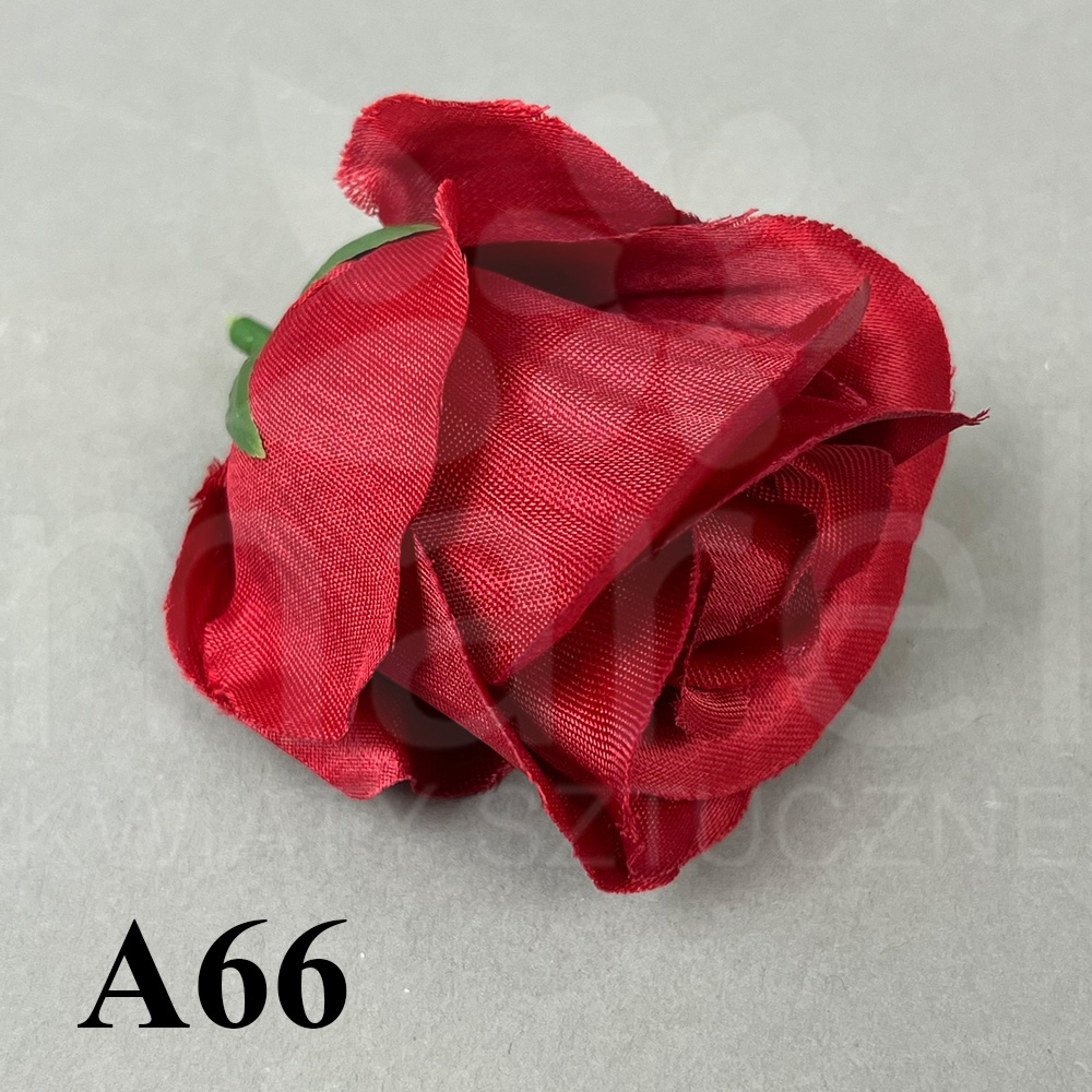 A66.jpg