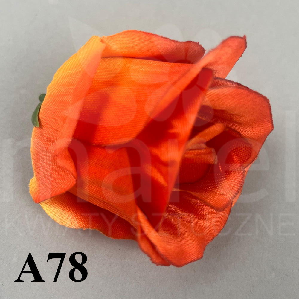 A78.jpg