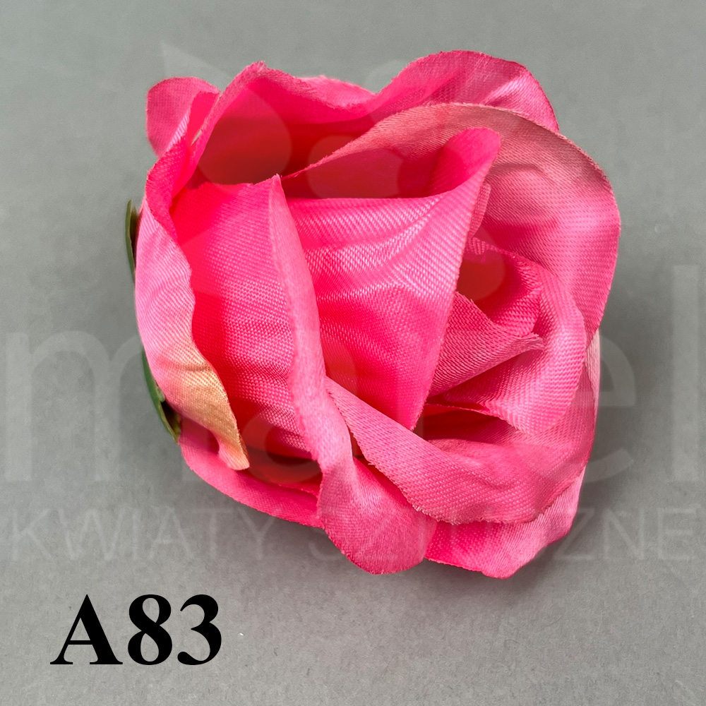 A83.jpg