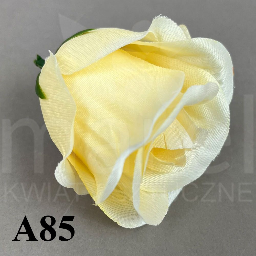 A85.jpg