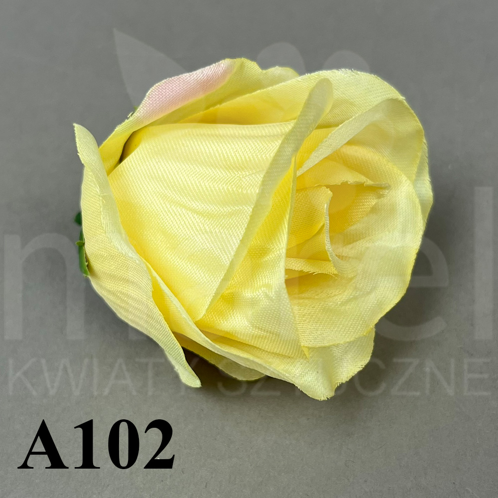 A102.jpg