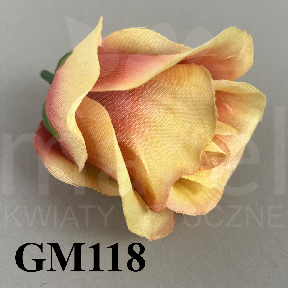 GM118.jpg
