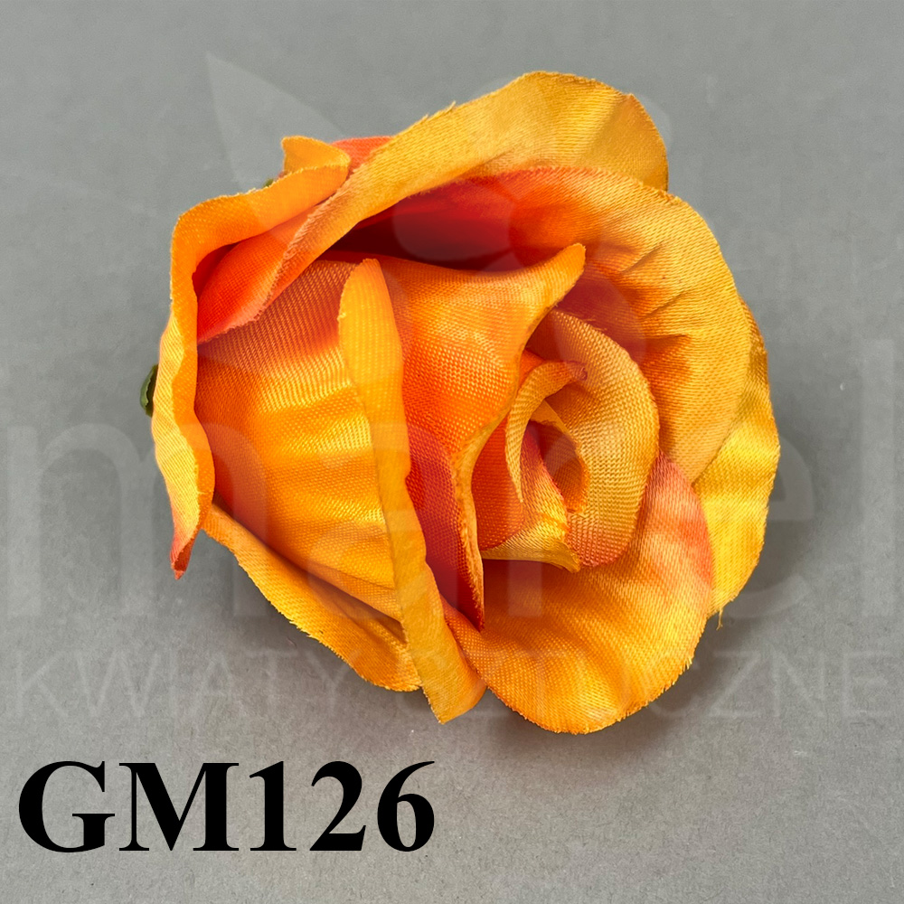 GM126.jpg
