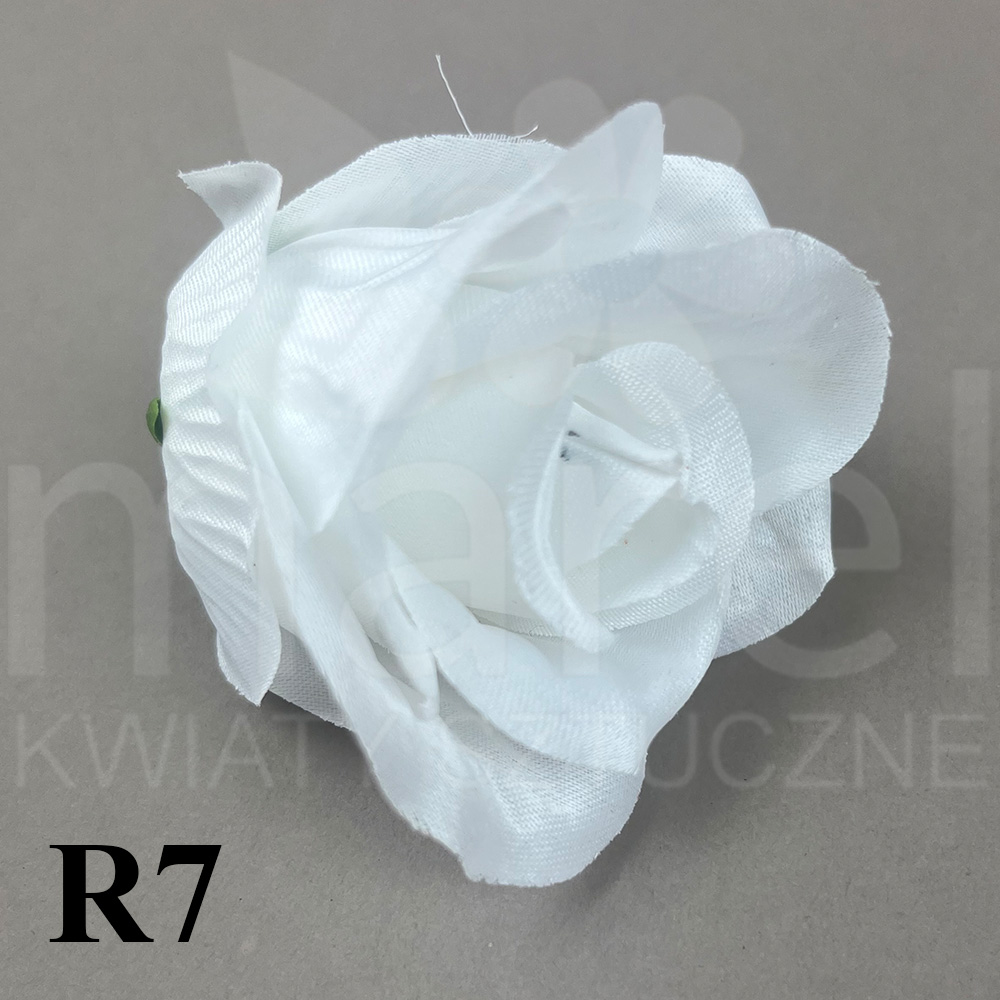 R7.jpg