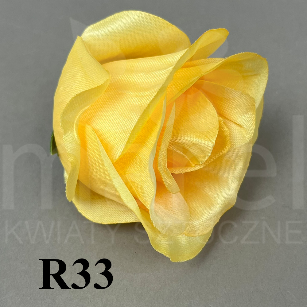 R33.jpg