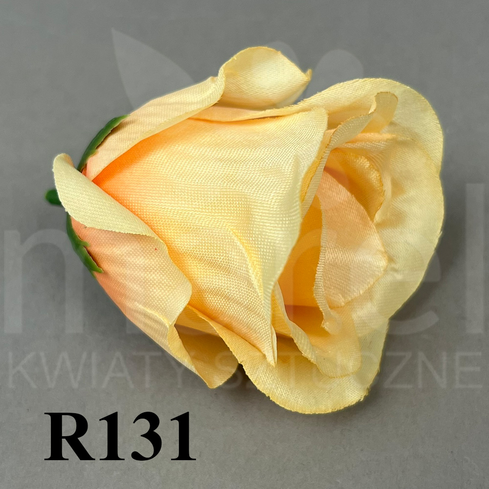 R131.jpg