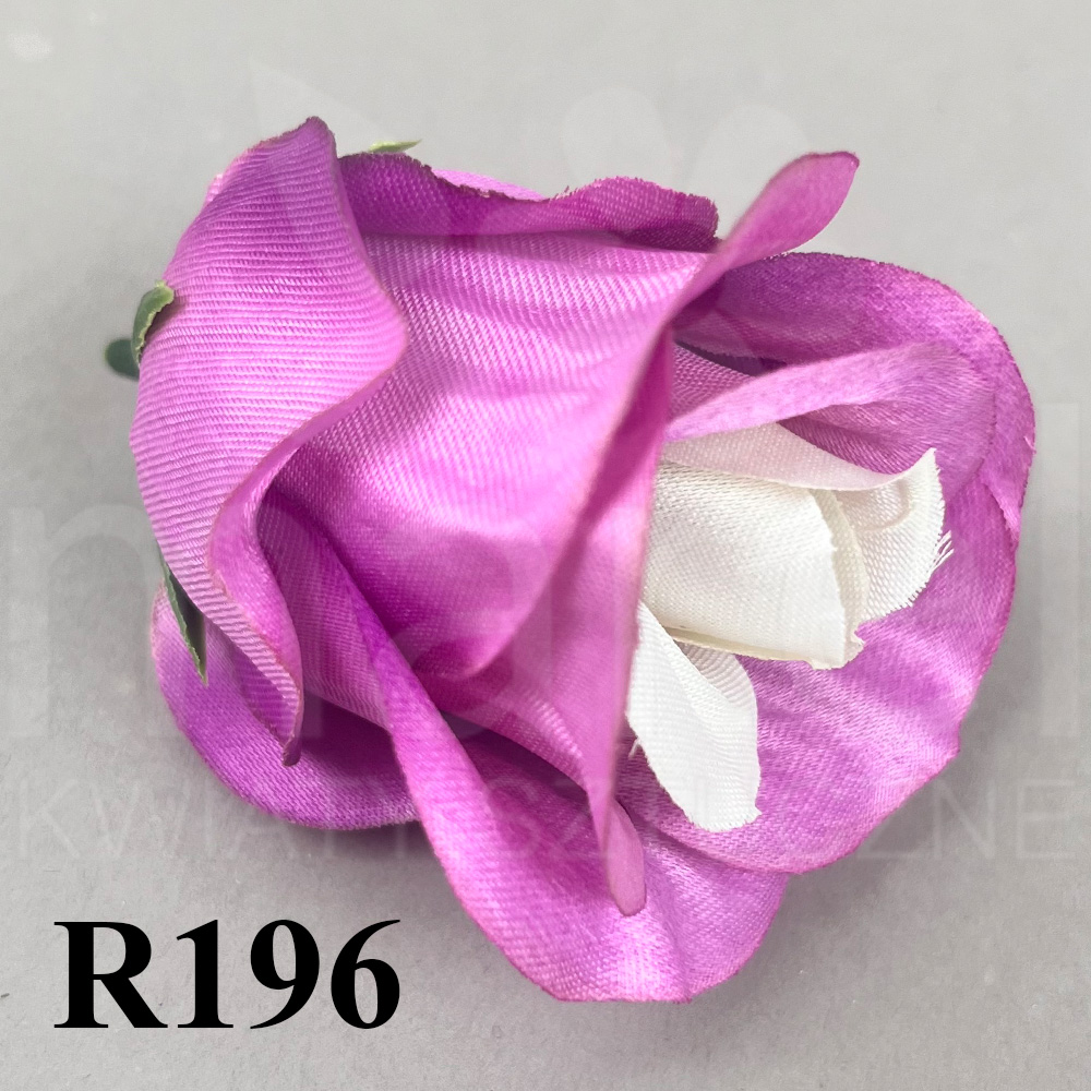 R196.jpg