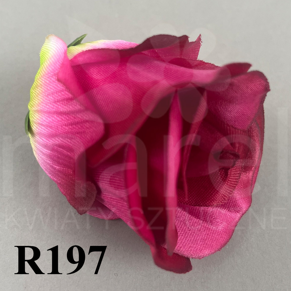 R197.jpg