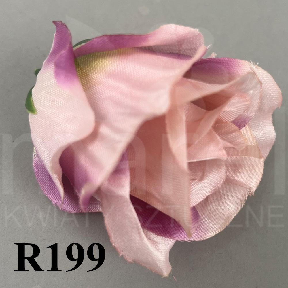 R199.jpg