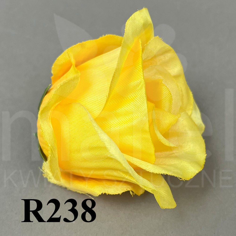 R238.jpg