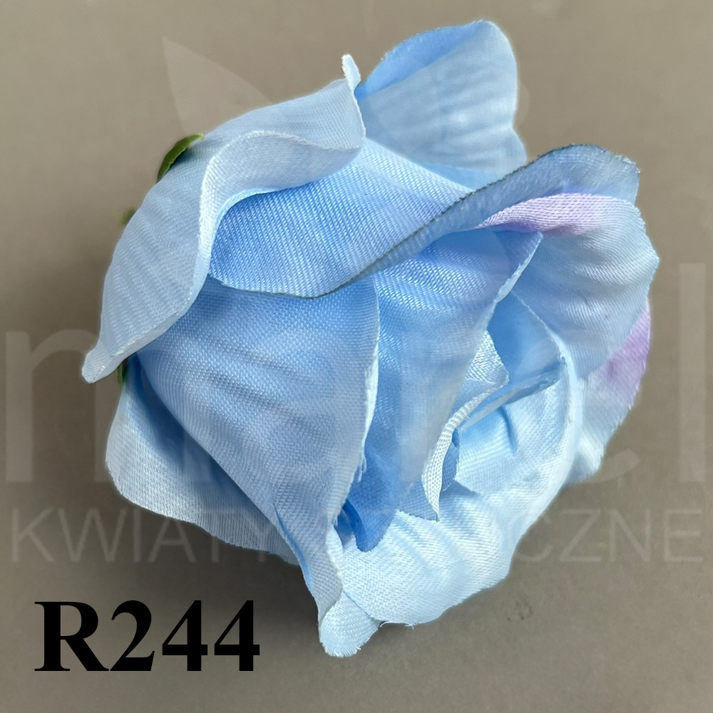R244.jpg