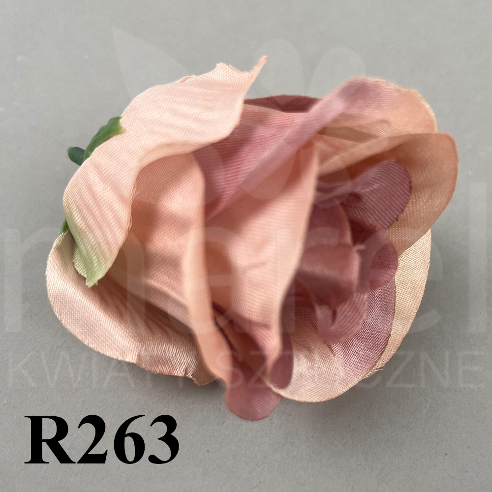R263.jpg