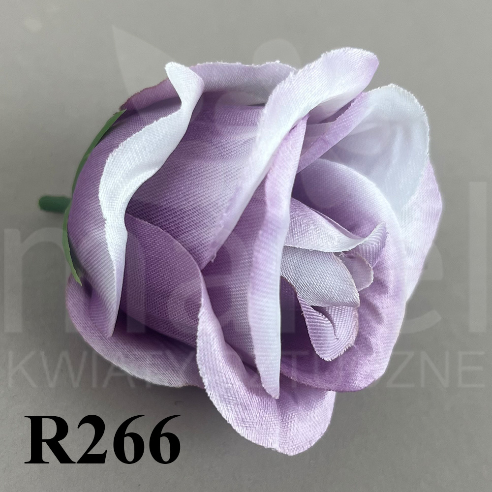 R266.jpg