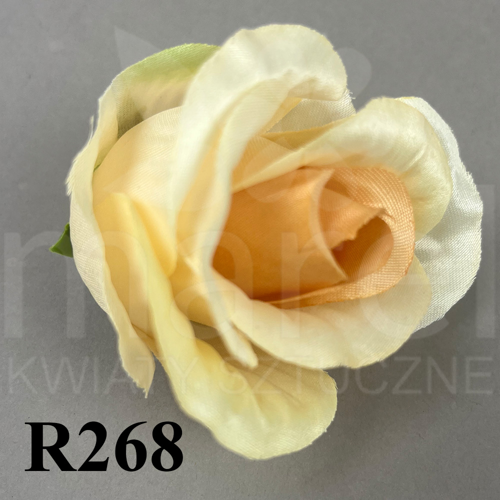 R268.jpg