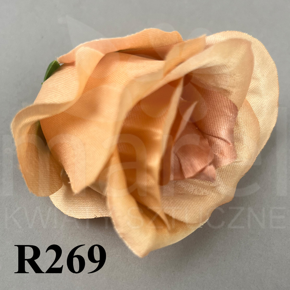 R269.jpg