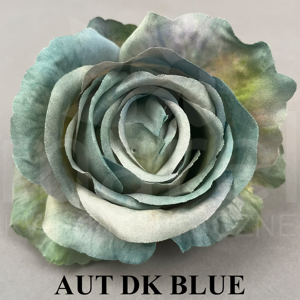 AUT DK BLUE.jpg