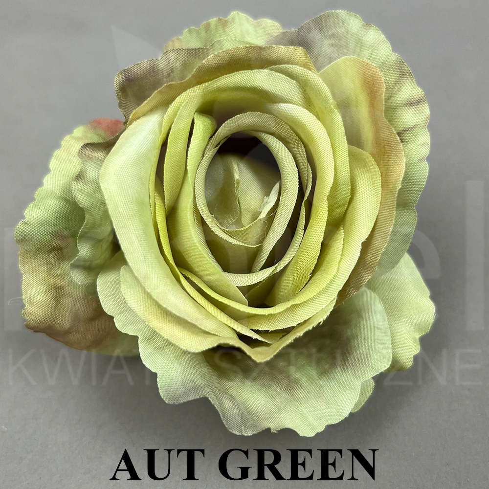 AUT GREEN.jpg