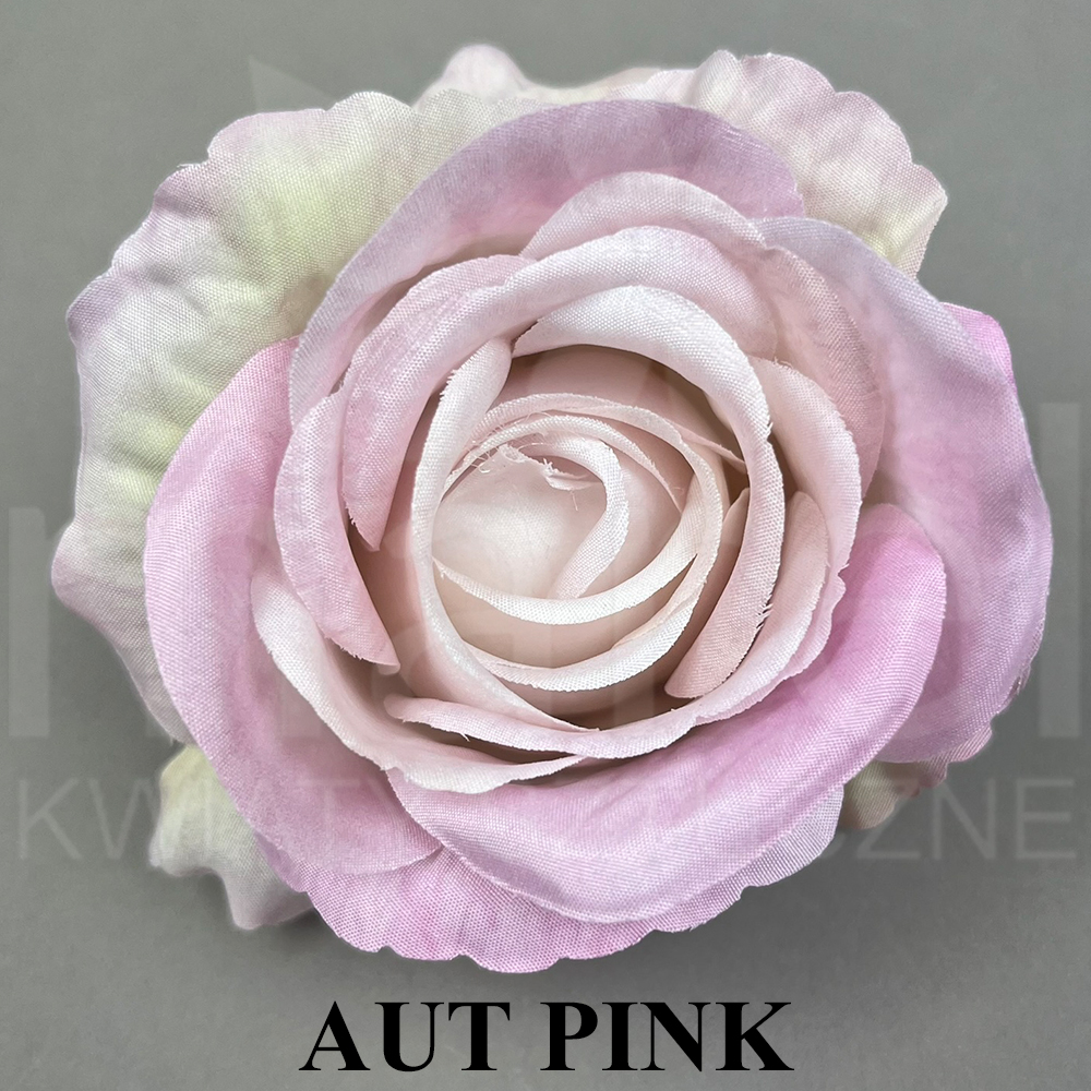 AUT PINK.jpg