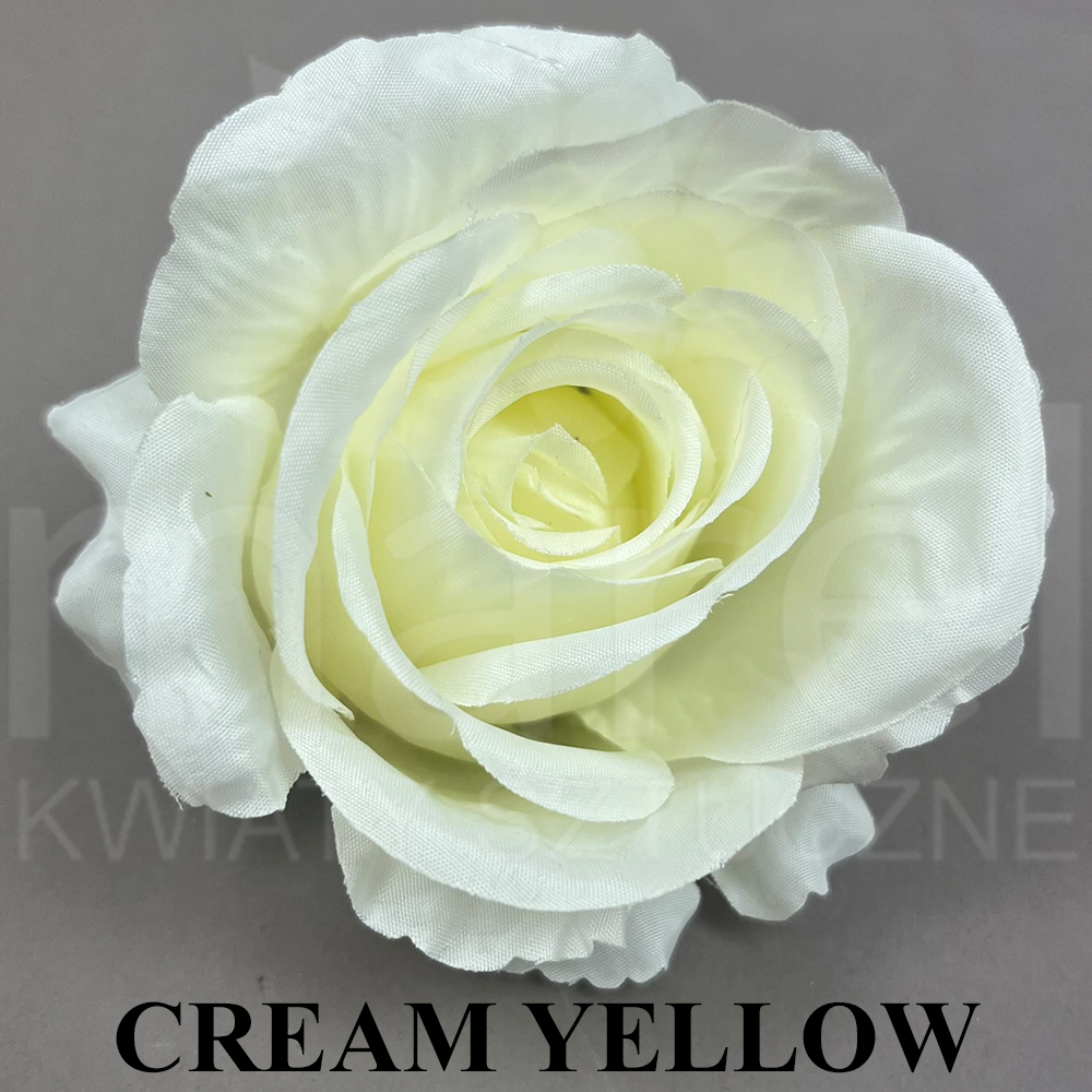 CREAM YELLOW.jpg