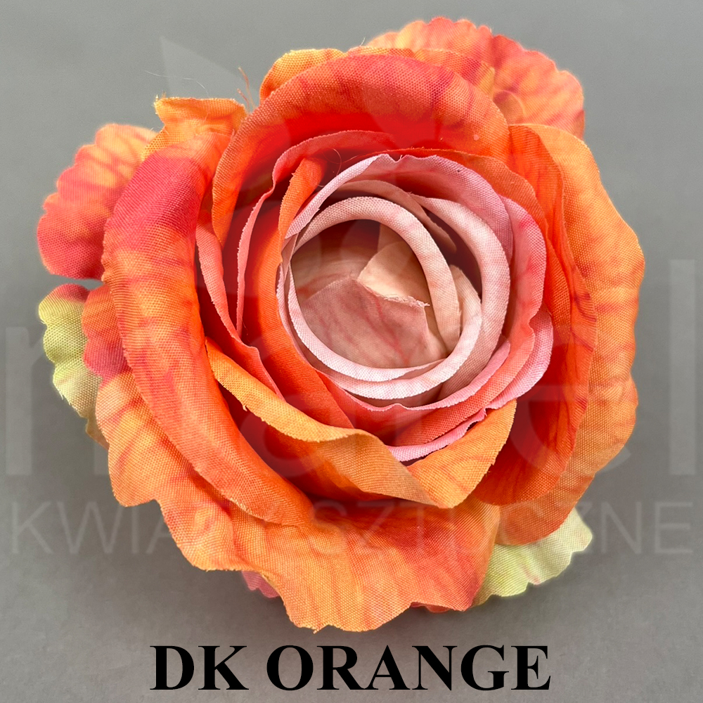 DK ORANGE.jpg