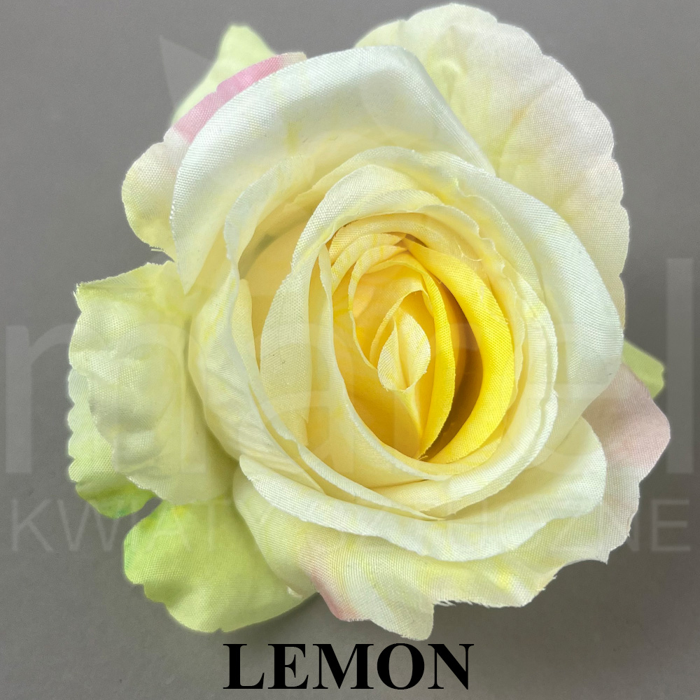 LEMON.jpg