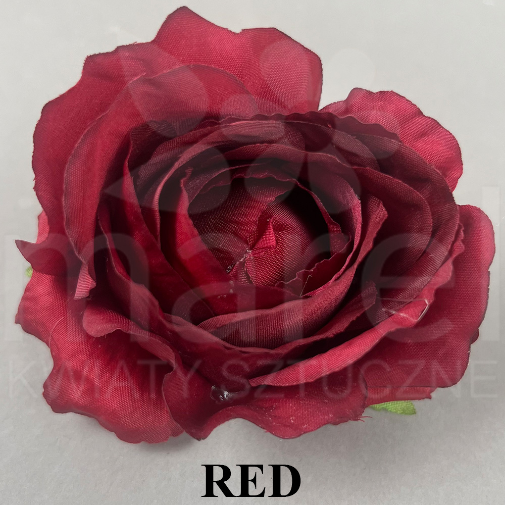 RED.jpg