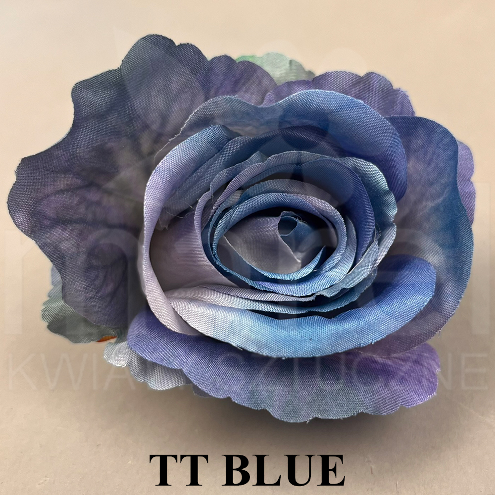 TT BLUE.jpg