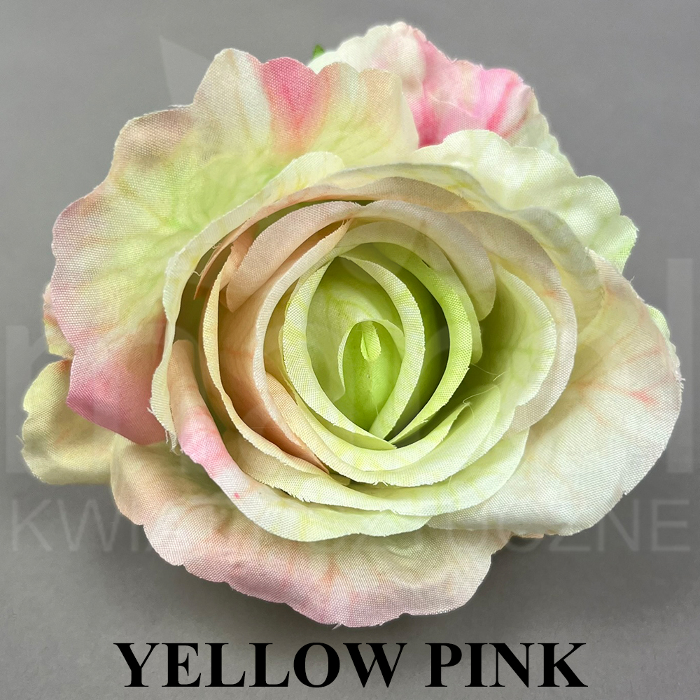 YELLOW PINK.jpg