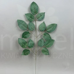 Liść róży 16S A10 