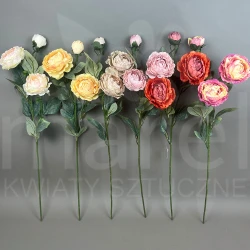 Piwonia na łodydze FA0701 MIX