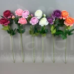 Piwonia na łodydze T102-24-1353 MIX