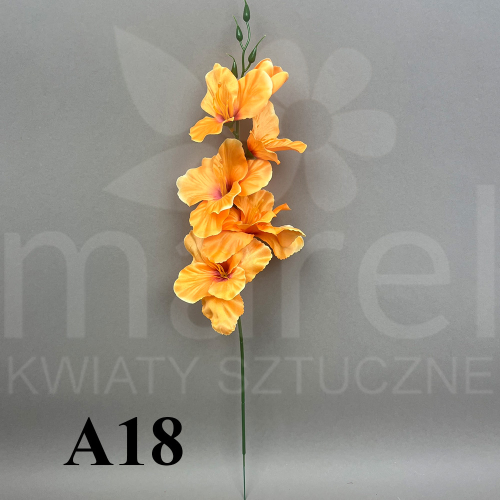 A18.jpg