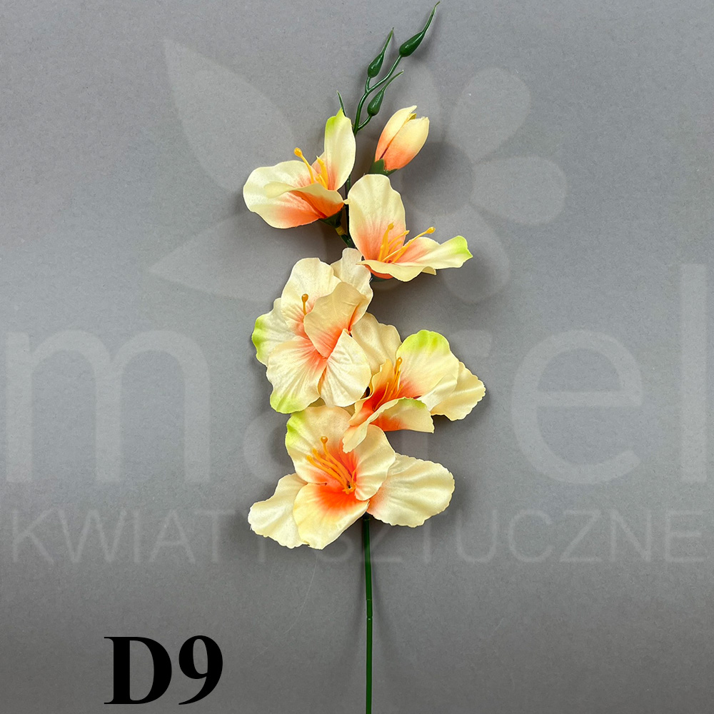 D9.jpg