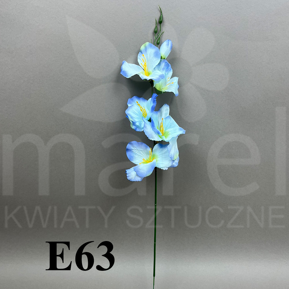 E63.jpg