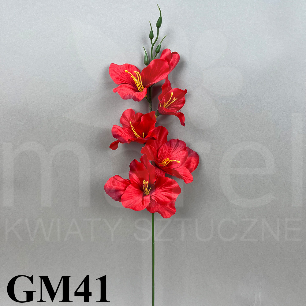 GM41.jpg