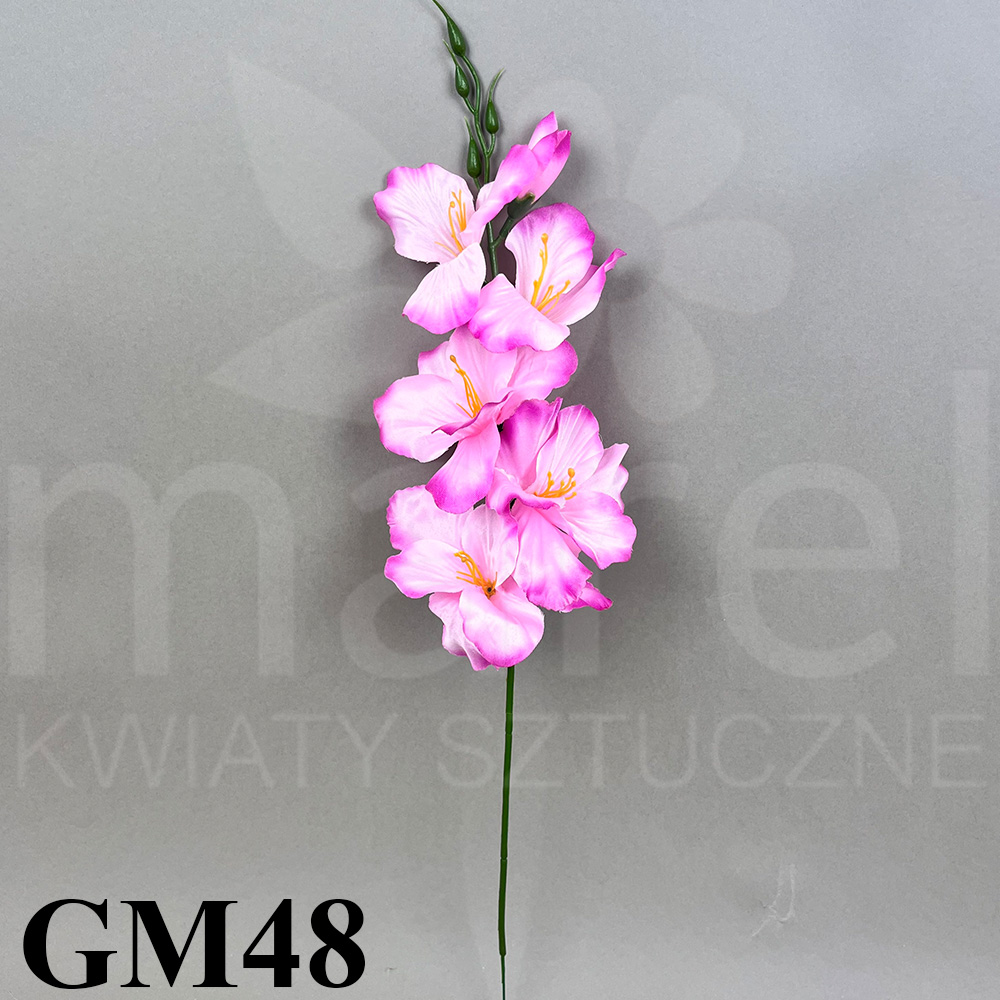GM48.jpg