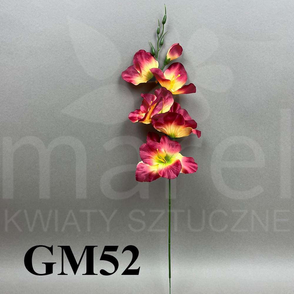 GM52.jpg
