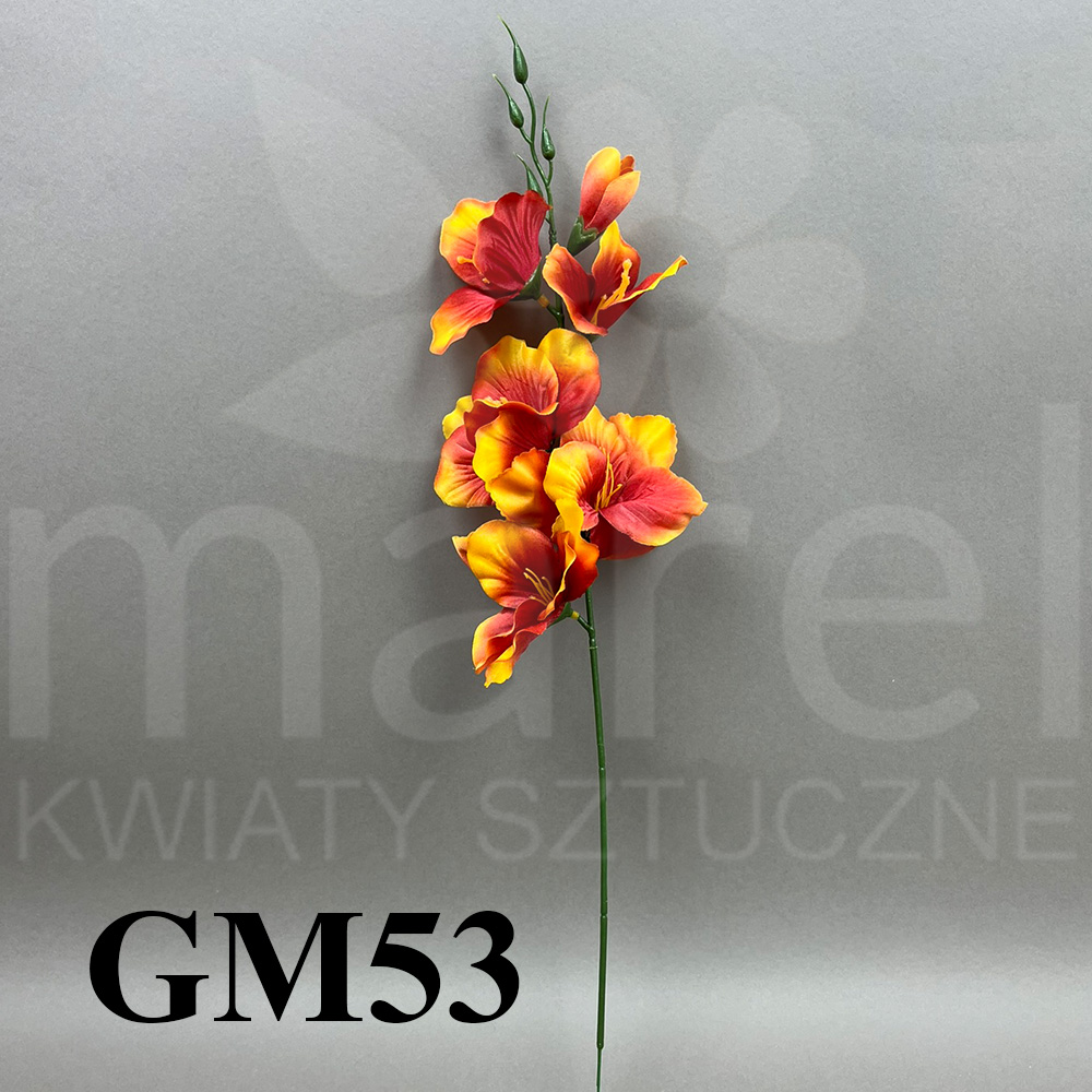 GM53.jpg