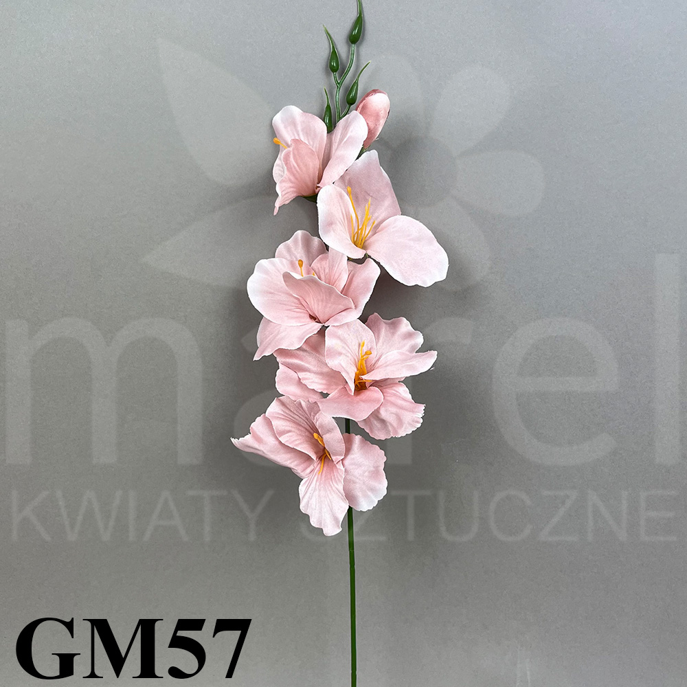 GM57.jpg