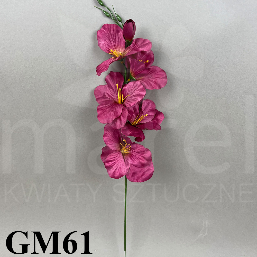 GM61.jpg