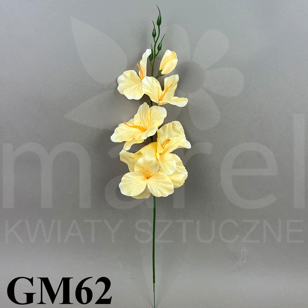 GM62.jpg