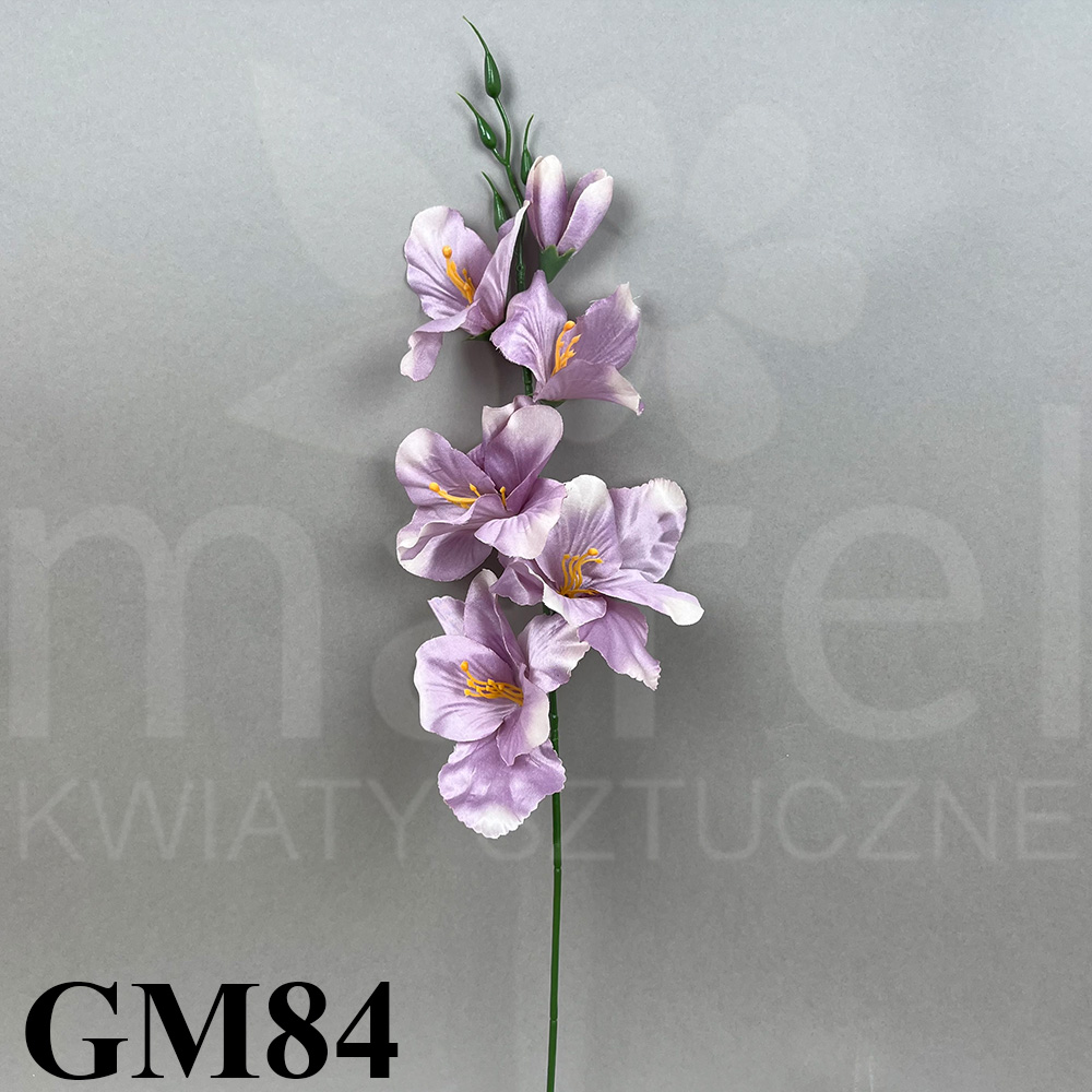 GM84.jpg