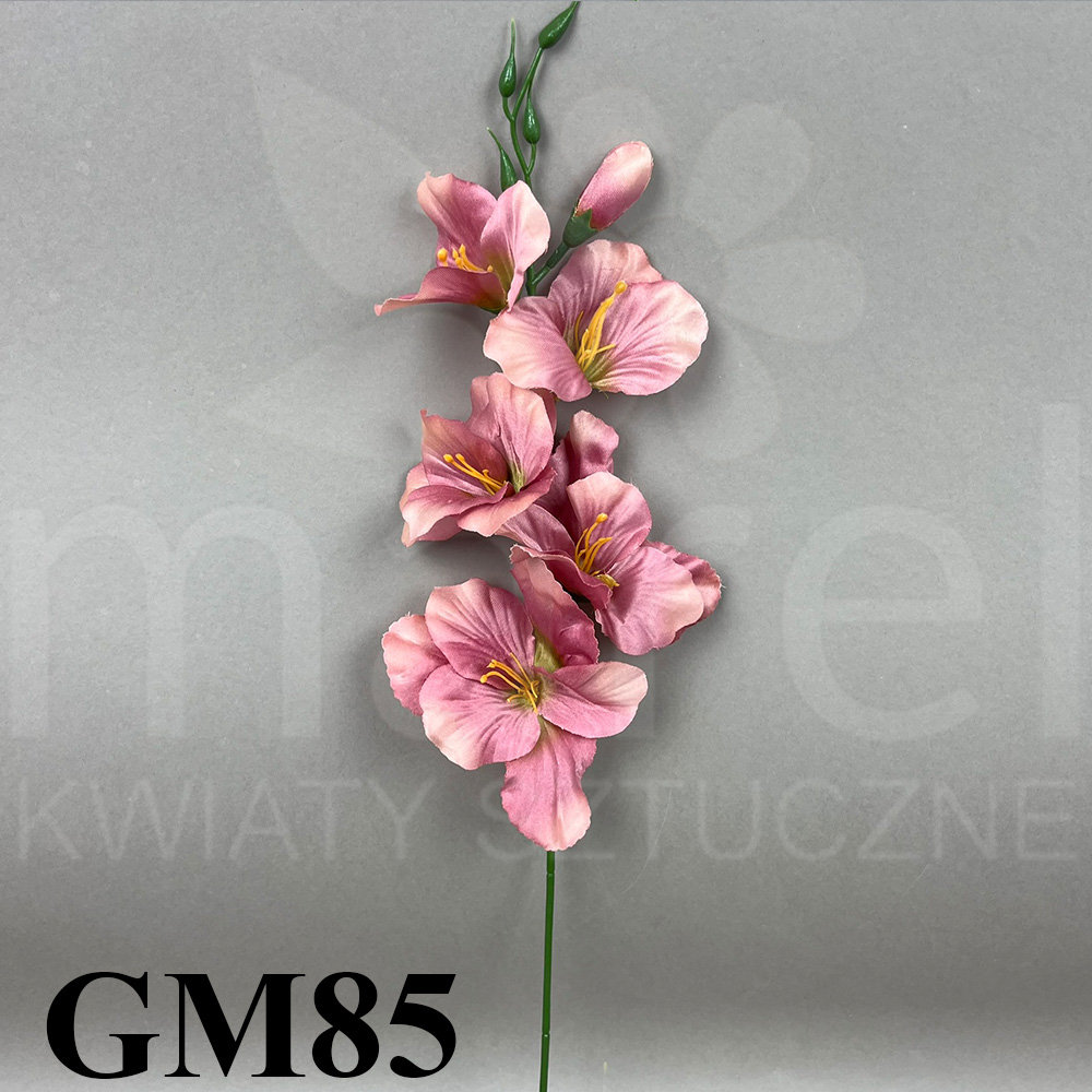 GM85.jpg