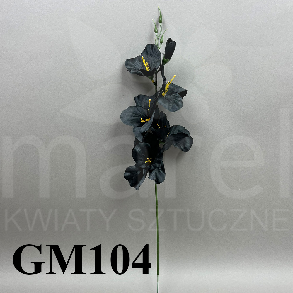 GM104.jpg
