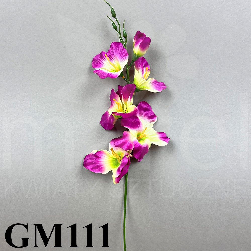 GM111.jpg