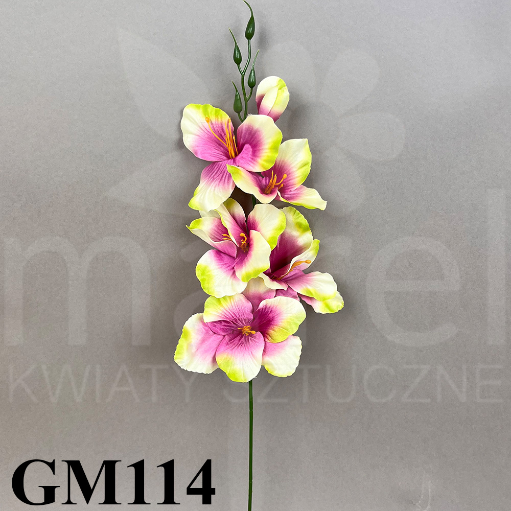 GM114.jpg
