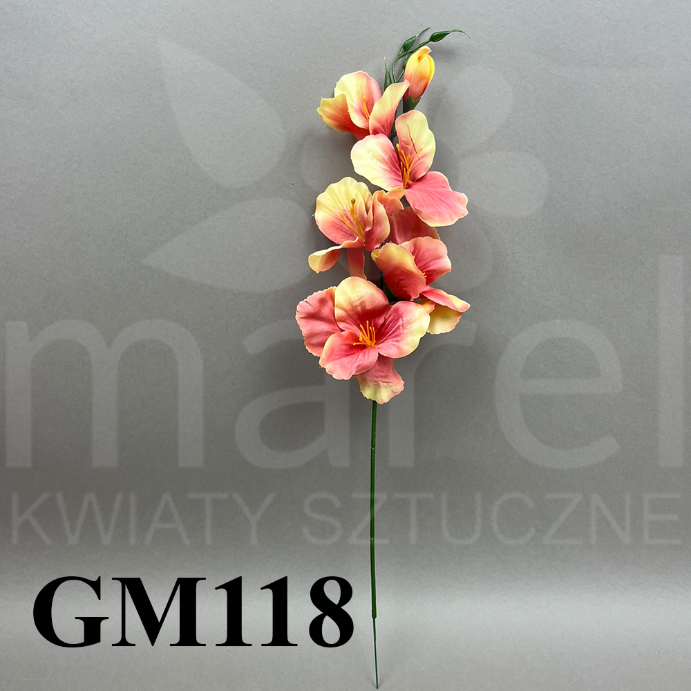 GM118.jpg
