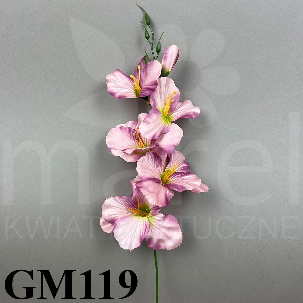 GM119.jpg