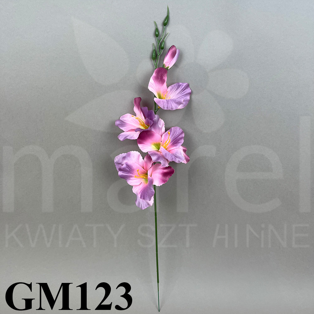 GM123.jpg